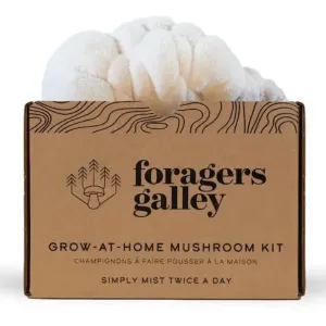 Grow At Home Mushroom Kit - Lion's Mane